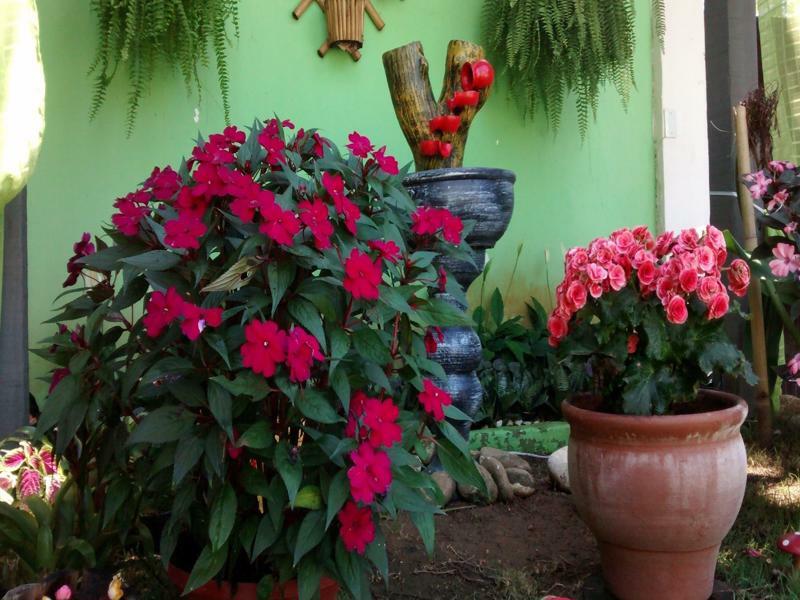 Pousada Flora Buzios Exteriör bild